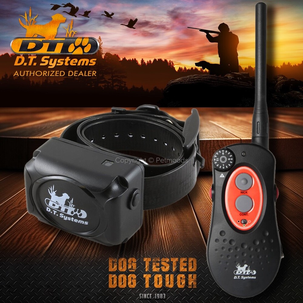 DT Systems H2O 1820 PLUS Expandable Dog Remote Trainer