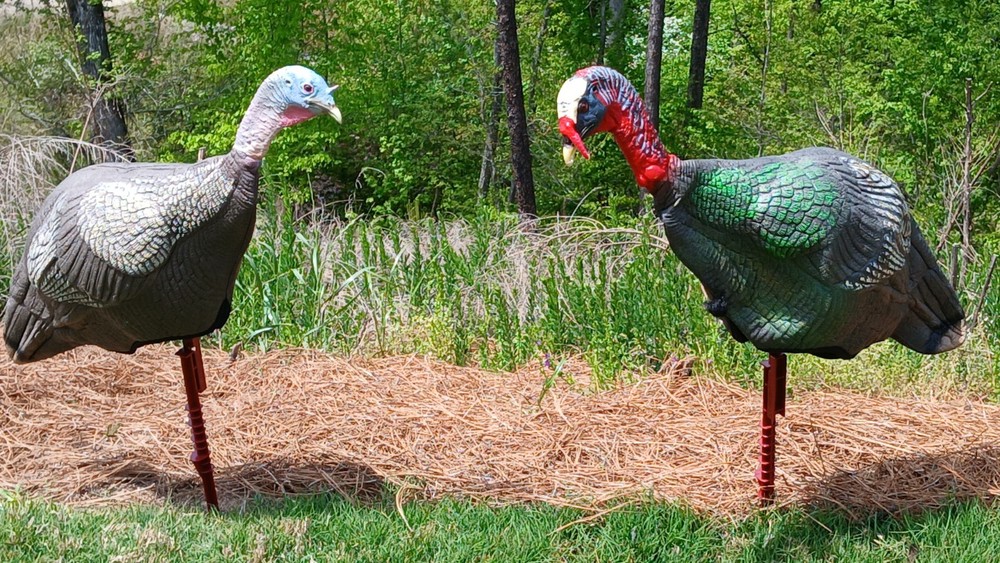 Flambeau (2) + Feather Flex (1) Turkey Decoys