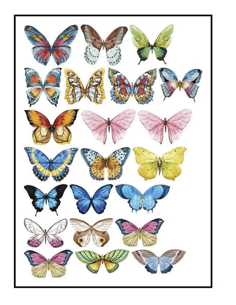 Edible Pre-Cut Wafer Butterfly - Assorted Colourful
