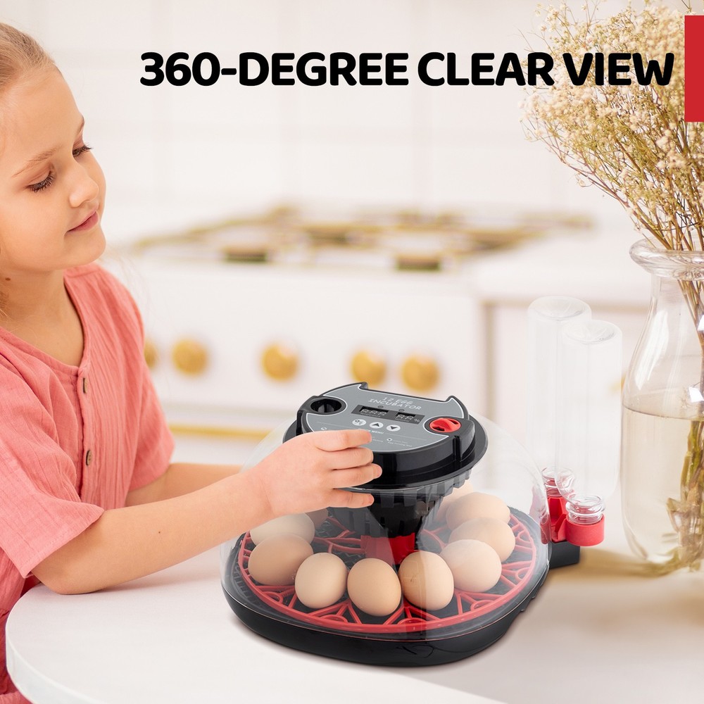 Smart Automatic Egg Incubator for 12 Eggs High Hatchability with LED Lighting