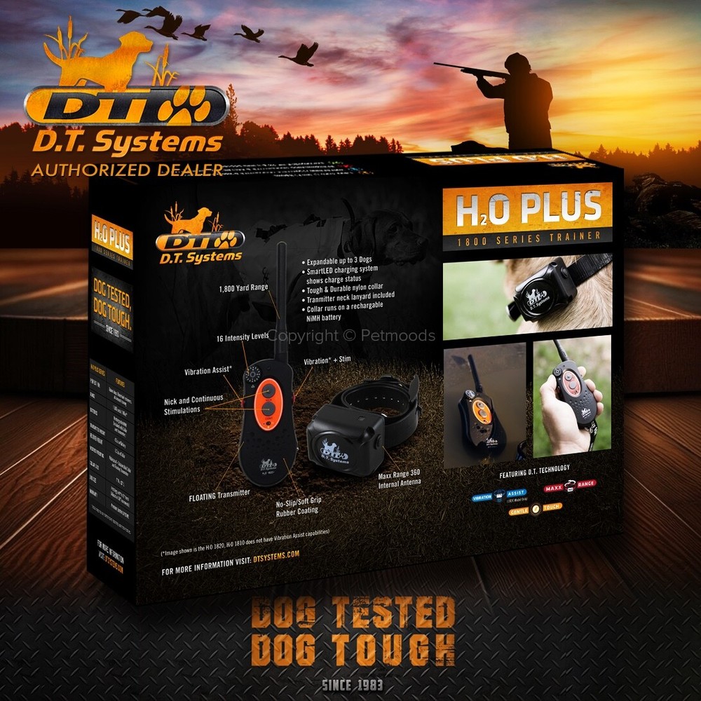 DT Systems H2O 1820 PLUS Expandable Dog Remote Trainer