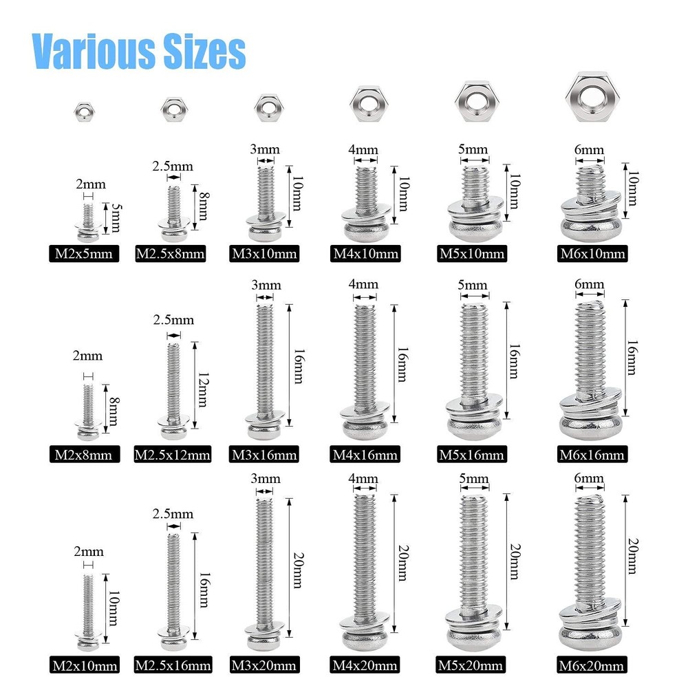 Stainless Steel Phillips Screws Assortment