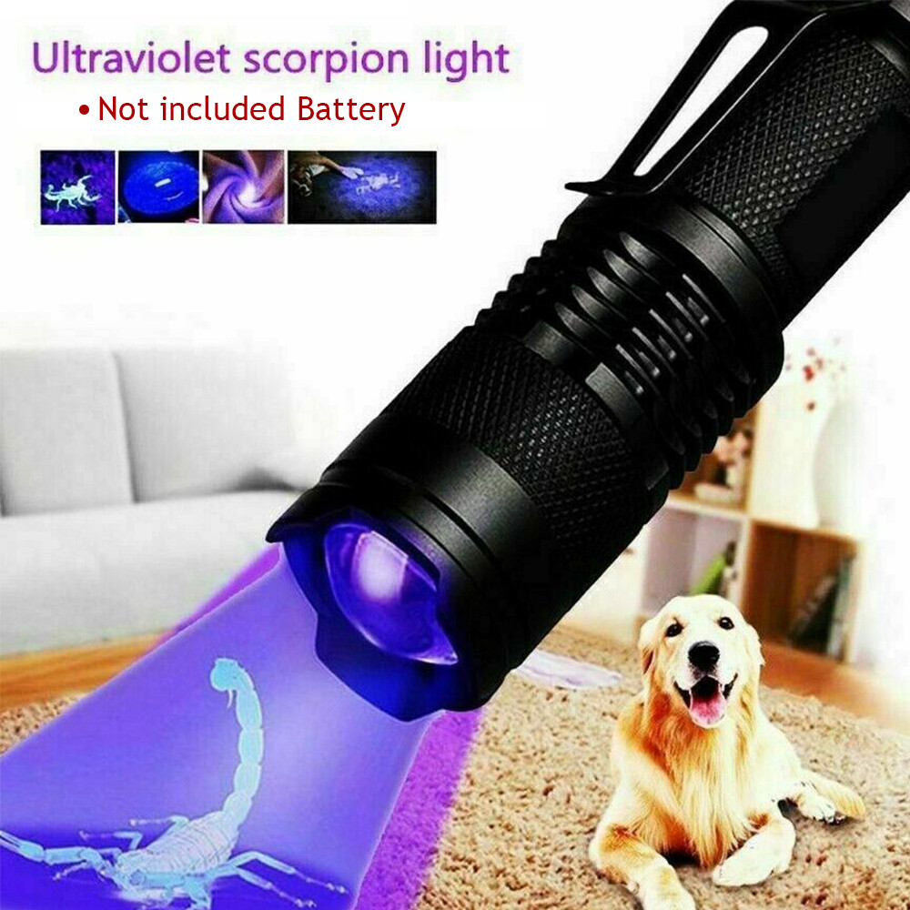 Black Light UV Flashlight - 395nm - Detects Stains & Urine - Zoomable Feature