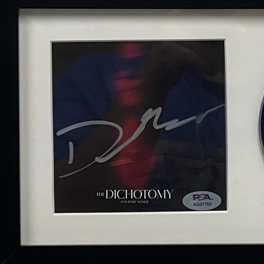 David Kushner Signed CD Cover Framed PSA/DNA Autographed The Dichotomy