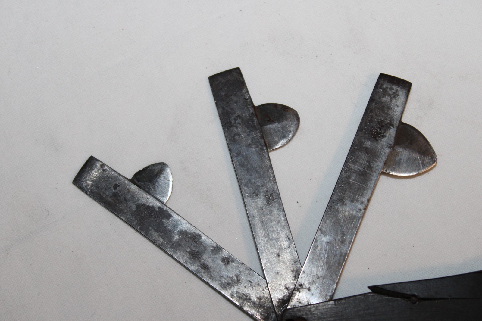 Antique 3 Blade Blood Letting Fleam Tool Marked G. Gregory