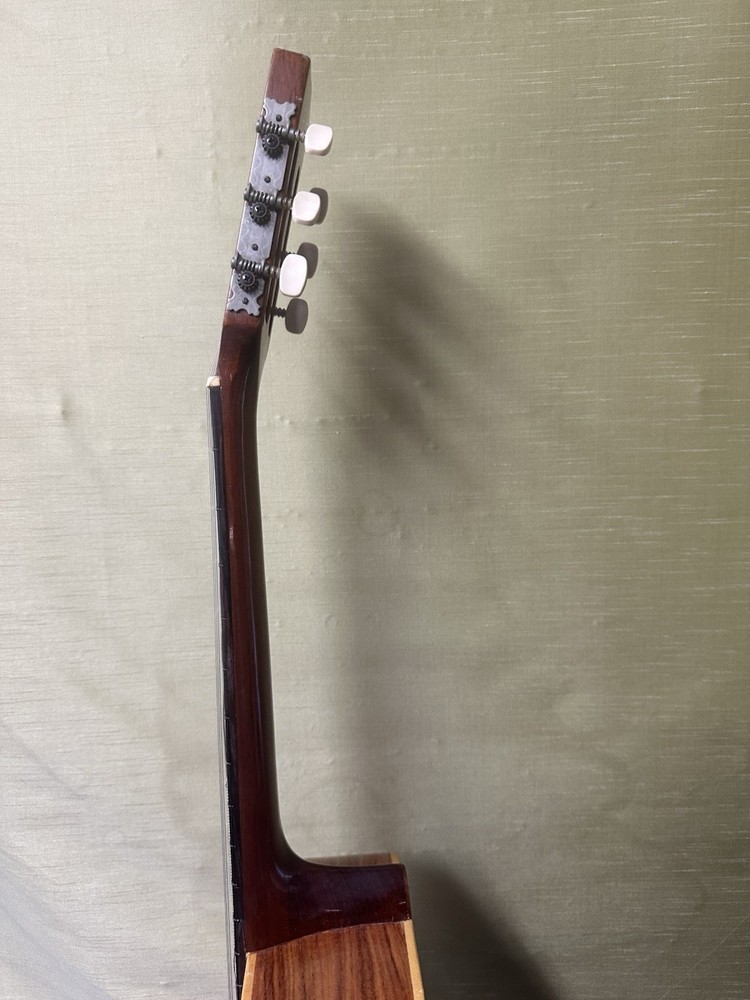 Giannini AWN60 Classical Guitar With Hard Case