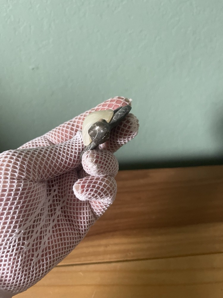 TURTLE Figurine Carved Soapstone Agate 2.25”