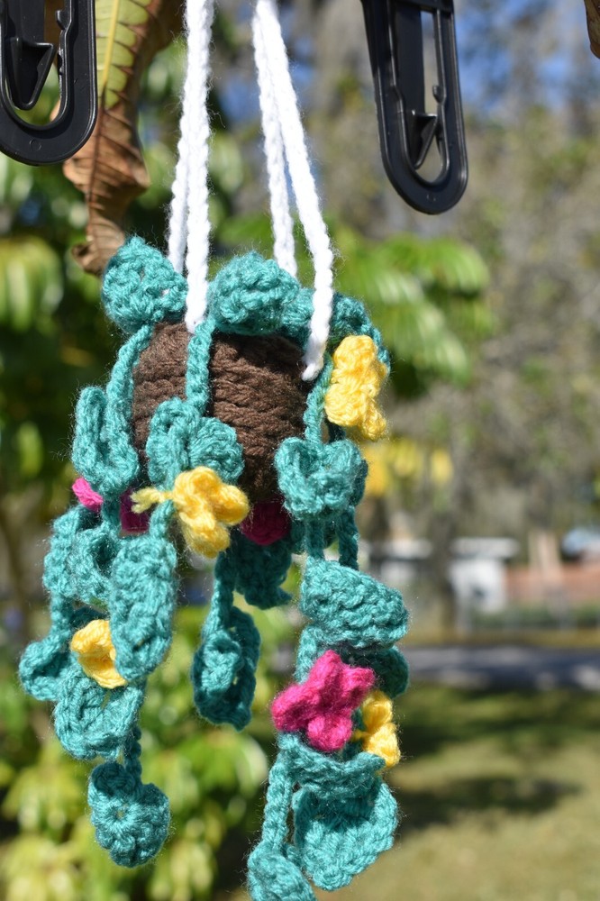 Hanging Crochet Plant