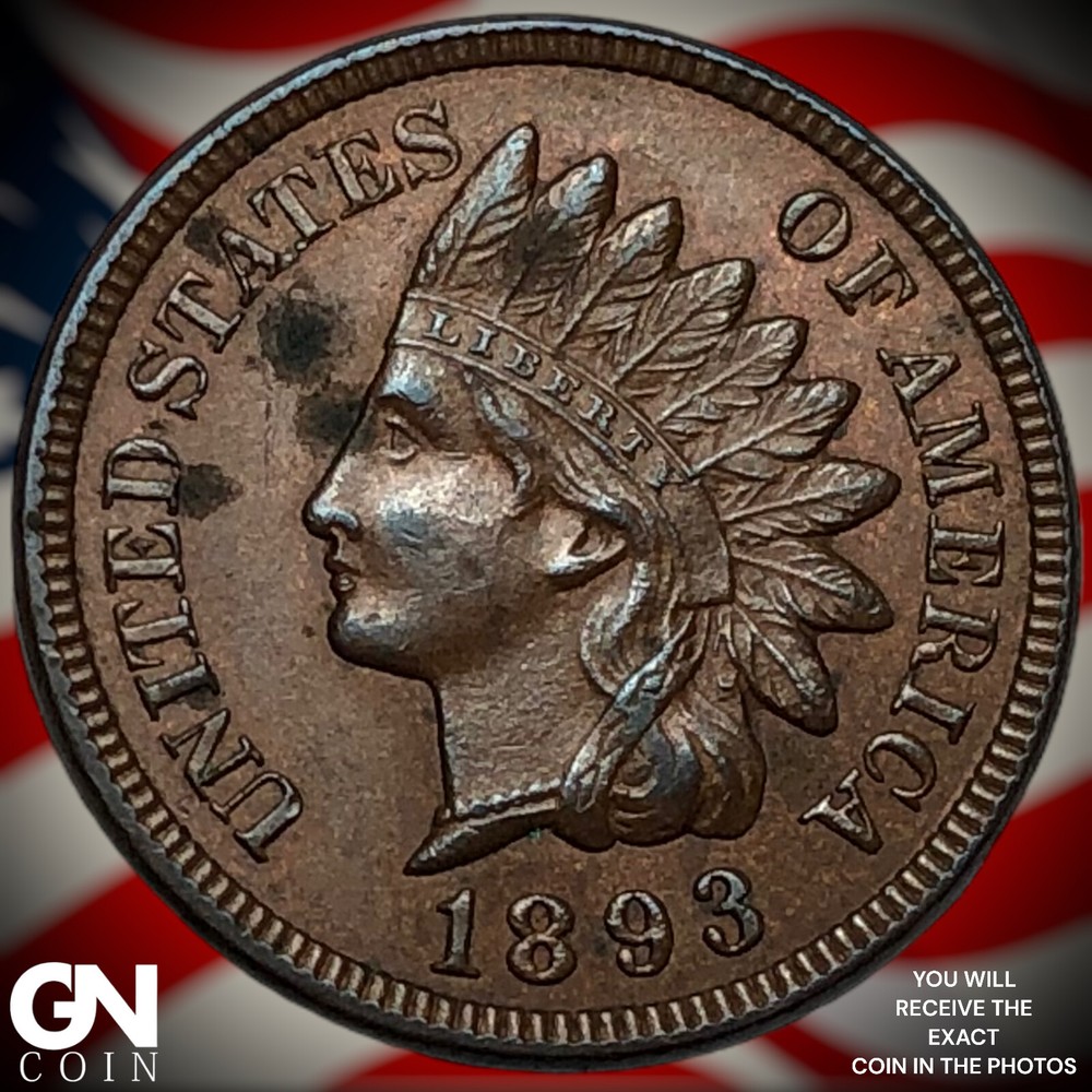 1893 Indian Head Cent Penny M8124