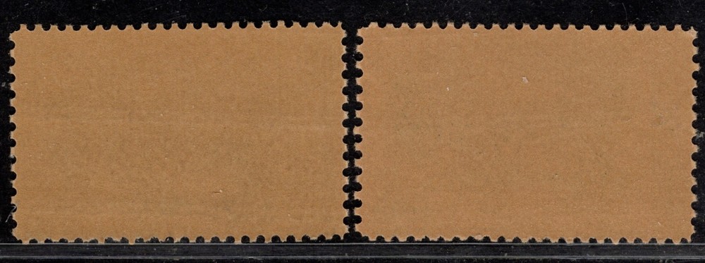 Perfectly Flawed EFO SN 1392 MNH Error - 6¢ Bison - Misperf