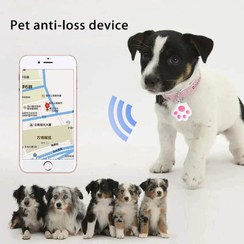 Paw-Shaped GPS Tracker Xiaomi Mini