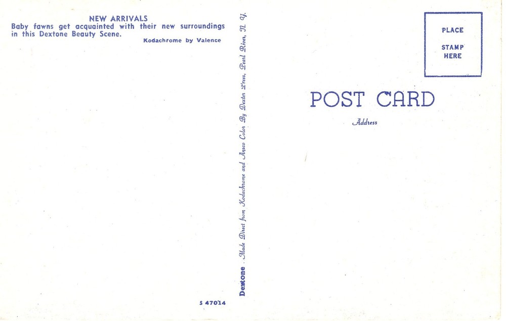 NEW ARRIVALS - PC3489