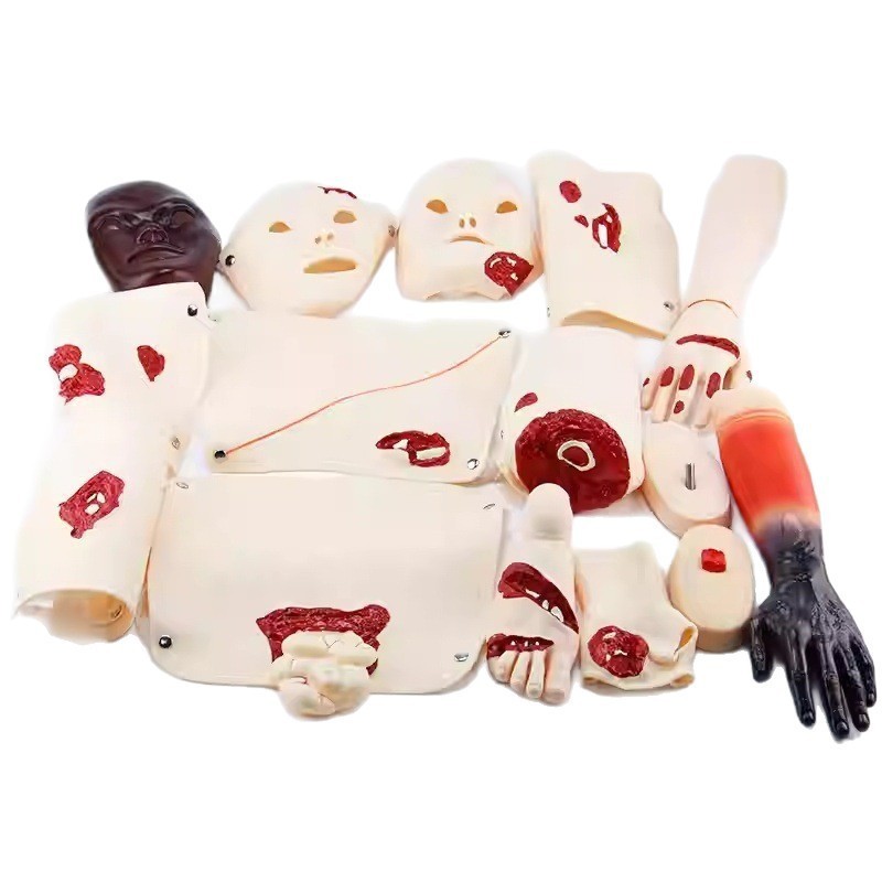 16Pc Trauma Evaluation Module First Aid Simulation Training Model Emergency Care