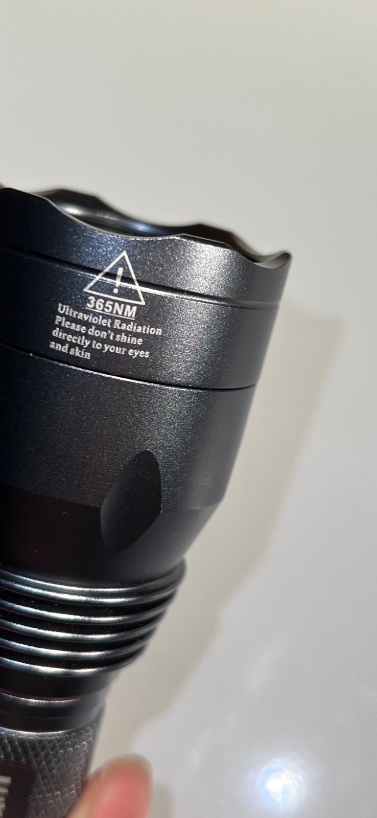 Scarce Cambridge Glass Amber Nautilus Decanter w/6 Small Cordials Tumblers