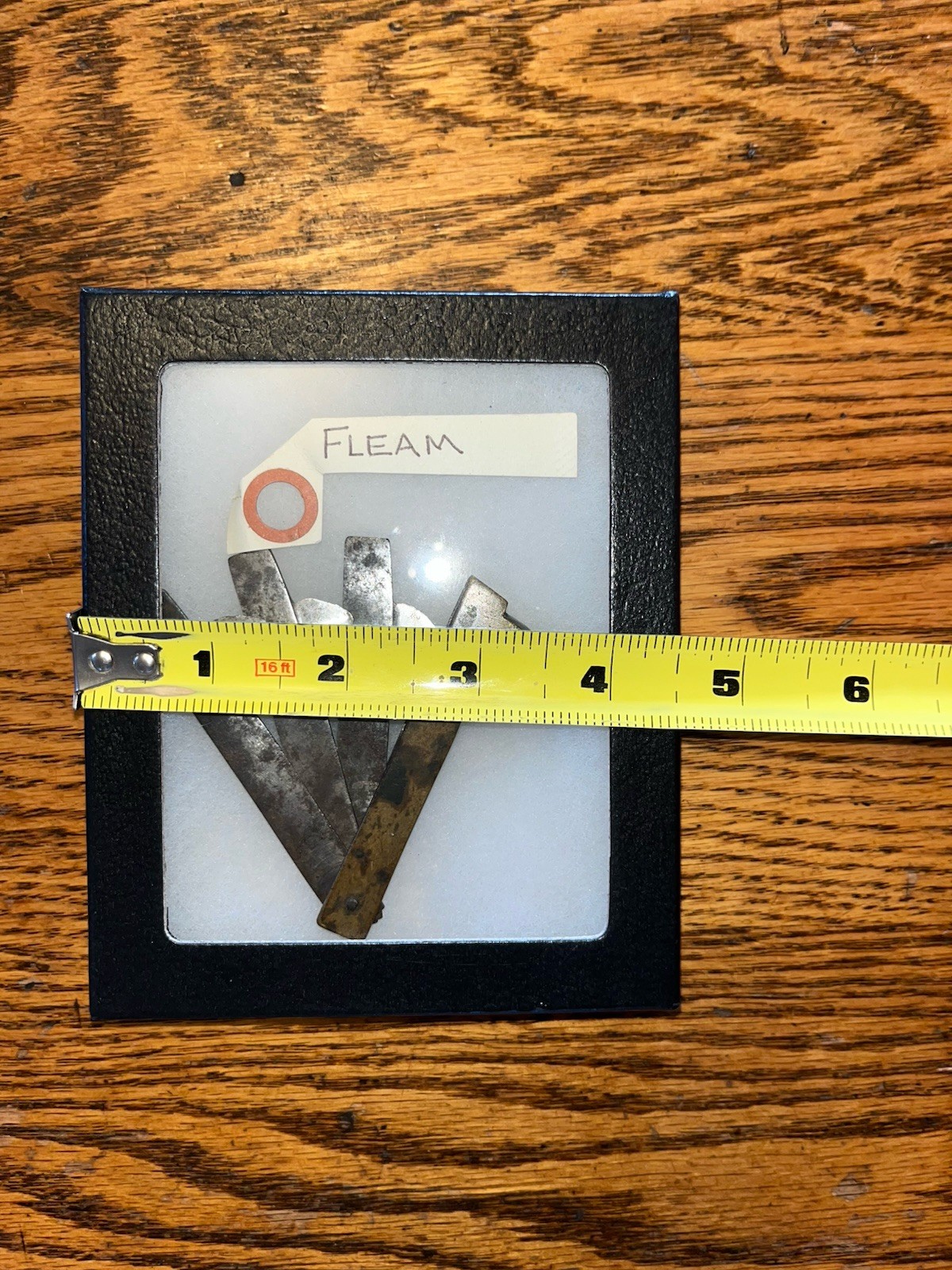 Antique 3 Blade Bloodletting Fleam In Display Box, Glass Top