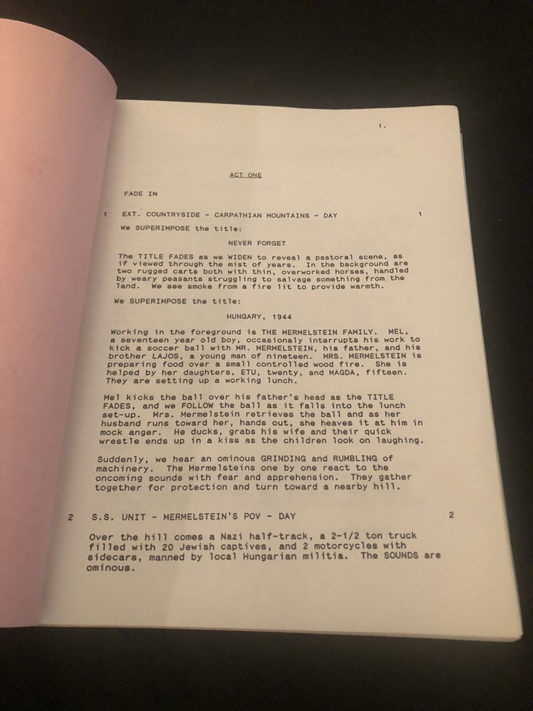 NEVER FORGET TELEPLAY by Ronald Rubin [Final Shooting Script]