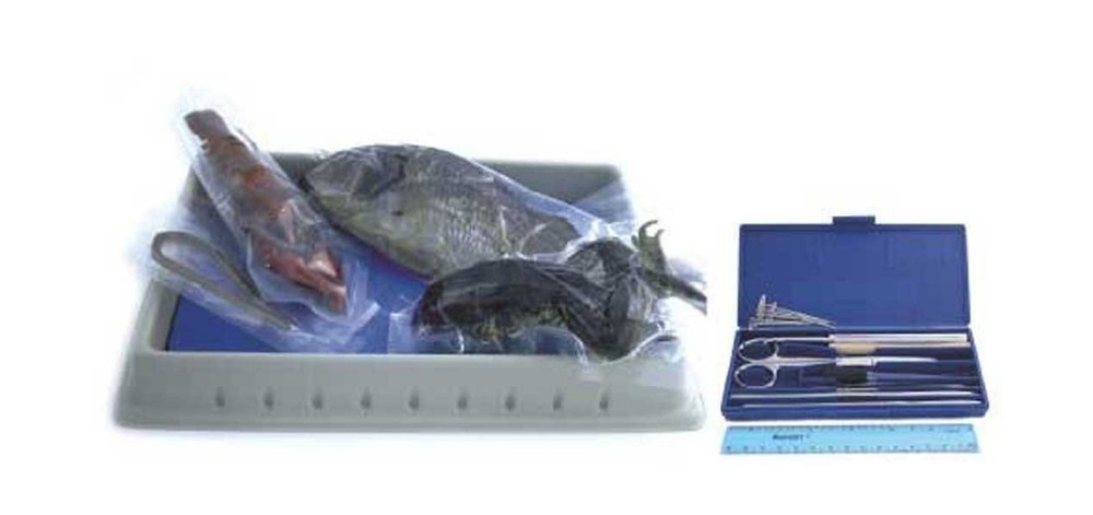 Apologia Biology Dissection Complete Kit