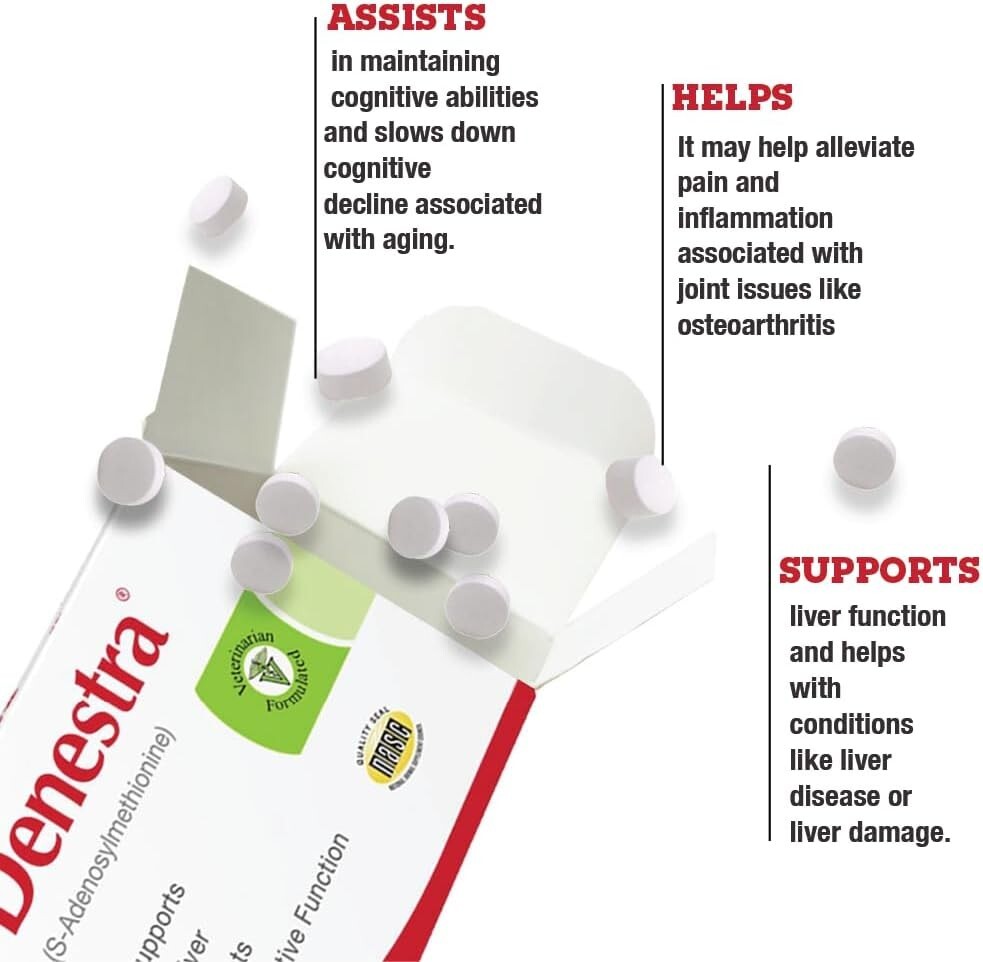 Denestra SAMe 400 mg (60 Tablets)