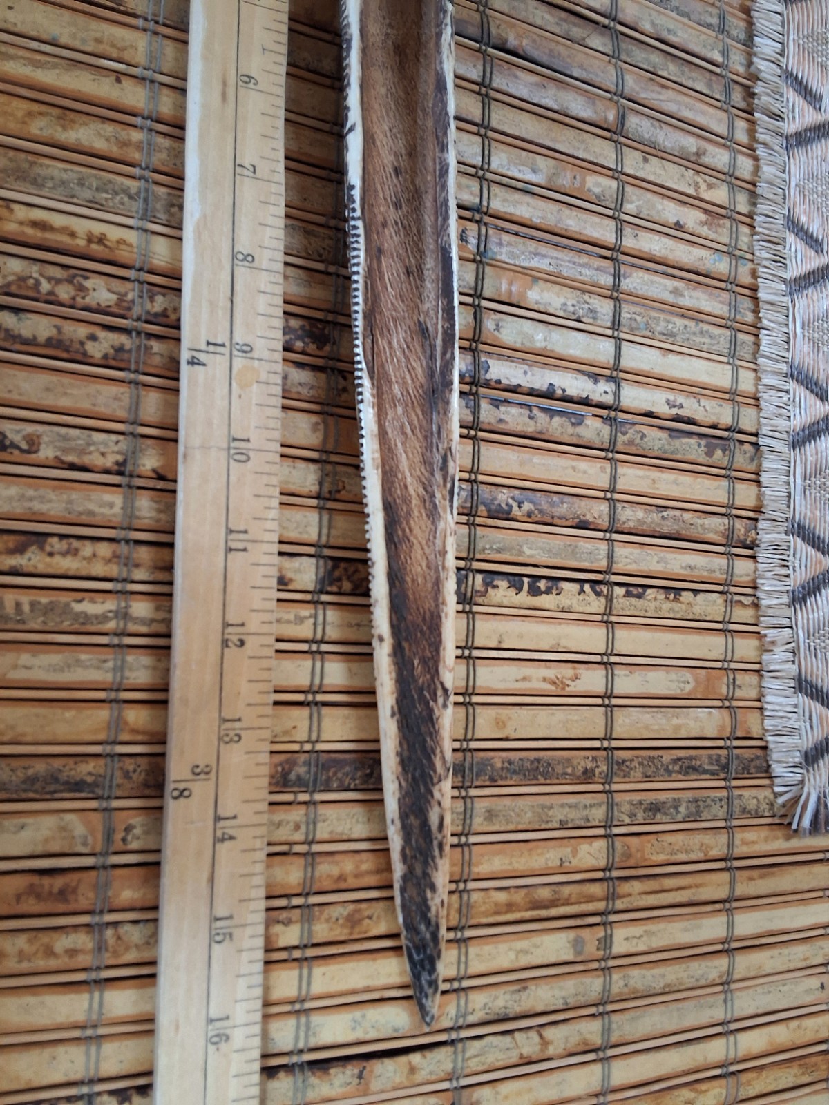 Papua New Guinea Rat Tooth Dagger Carved Artifact 16"