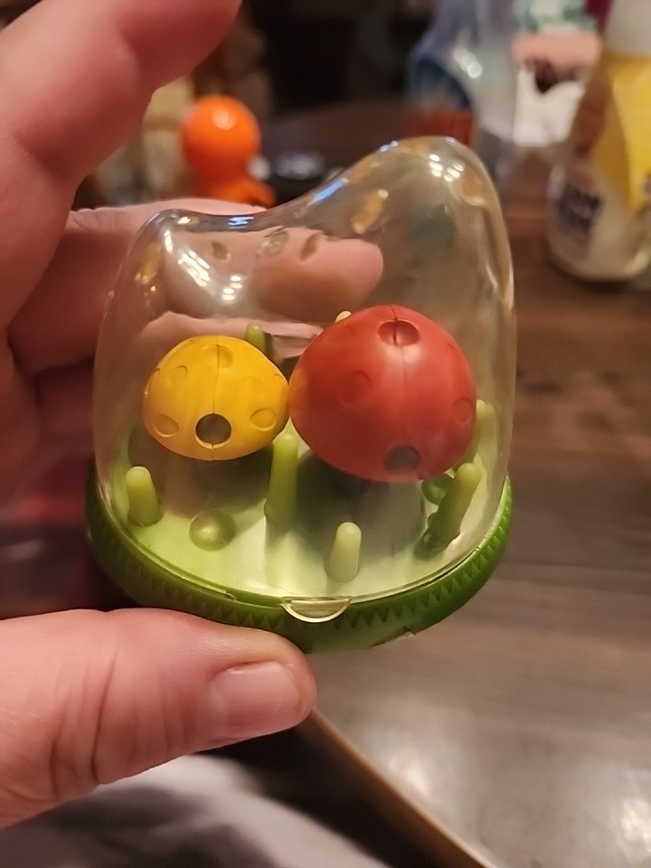 Small Decoartive Ant Farm
