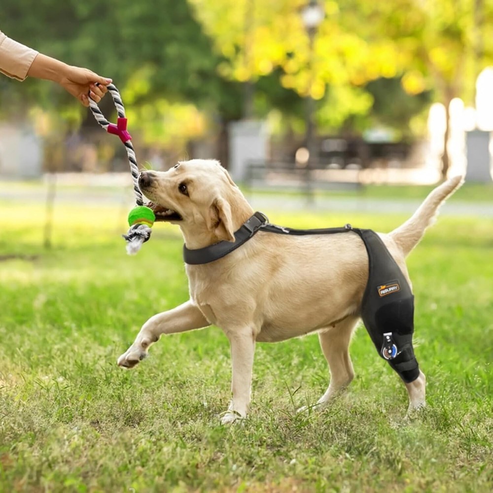 CHAMIN/RISURRY Adjustable Dog Knee Brace with Extra Collar, Support for Torn Acl