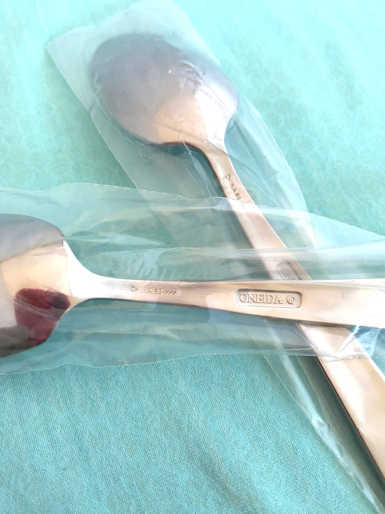 NEW Oneida AMSTERDAM 2 Teaspoons Stainless Flatware 6"
