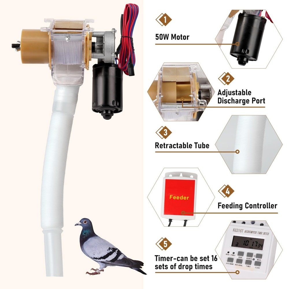 Timed Automatic Chicken Feeder and Duck Feeder, Timed Poultry Feederer Great ...