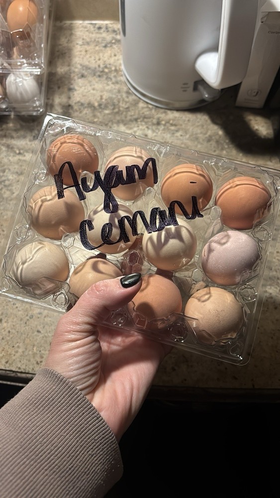 Ayam Cemani Fertilized Hatching Eggs 12 Pack