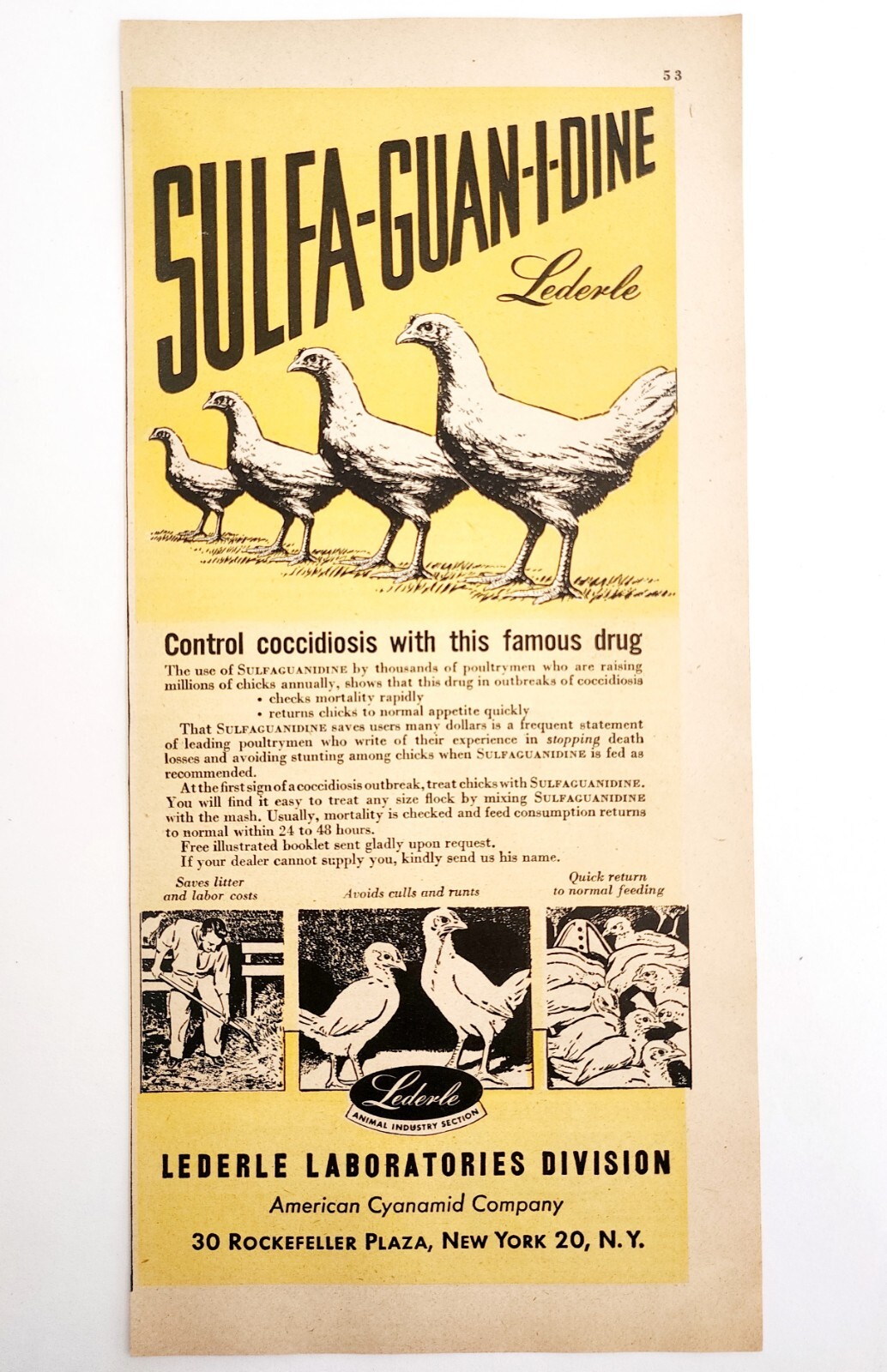 1947 Lederle Laboratories Sulfaguanidine Advertisement Agriculture DWNN22