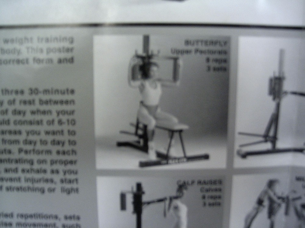 WESLO FLEX CTS CROSS TRAINING SYSTEM WORKOUT POSTER
