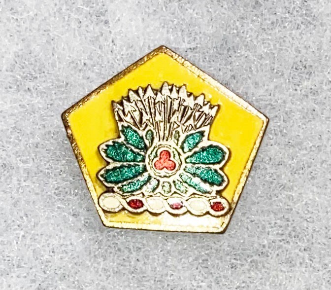 54th Cavalry Brigade DI SB