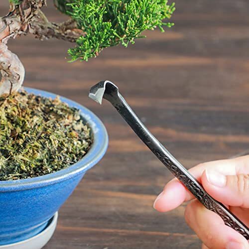 Wazakura Bonsai Scraper Gouge Chisel with Triangular Blade Made in Japan Shar...