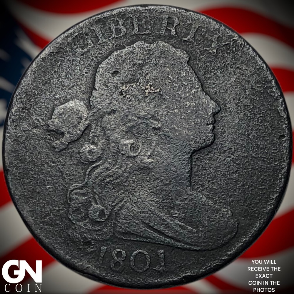 1801 Draped Bust Large Cent Y8196