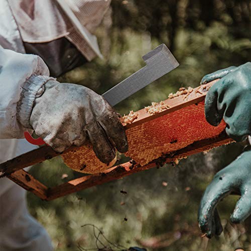 5 Pack 10.6 Inch Beehive Tool with J Hook, Frame Lifter and Scraper,