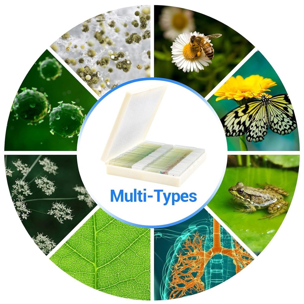 Optical Glass Prepared Microscope Slides - 100 Specimens for Science Exploration