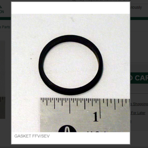 GASKET FFV/SEV # 620710107