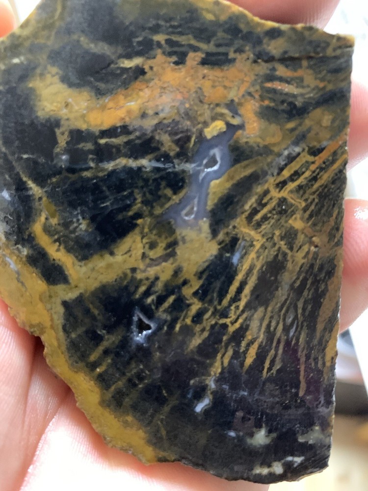 indonesian petrified wood
