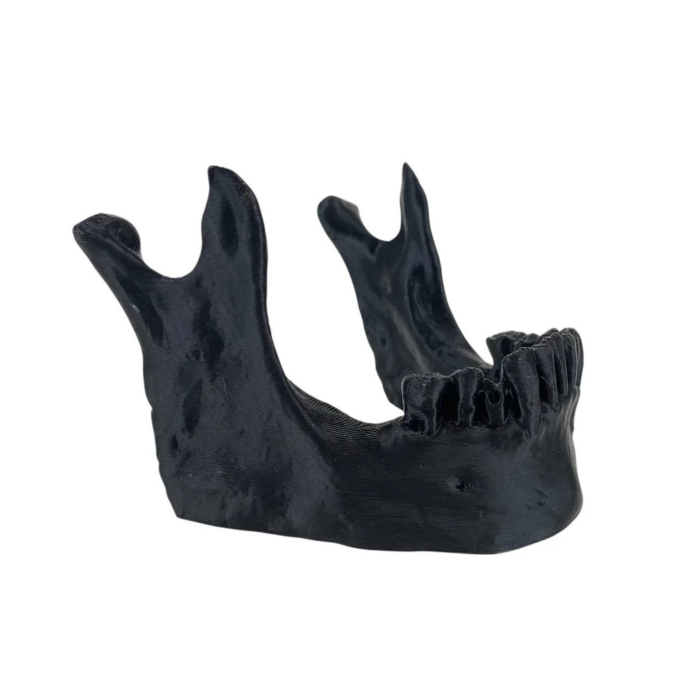 Skull Jaw Tool Holder – Black (Table Stand)