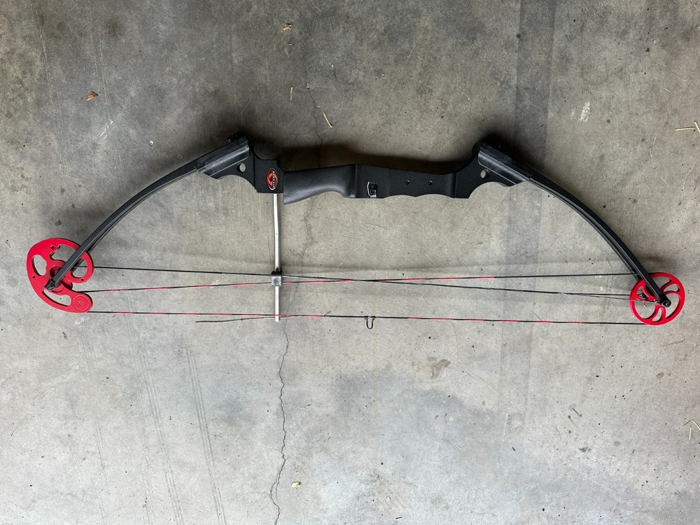 Matthews Genesis bow black riser, red wheels has D Loop installed
