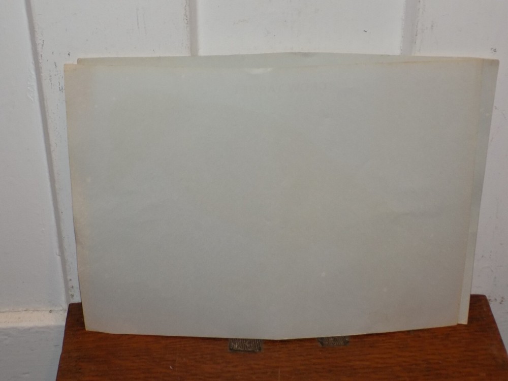 Vintage Niagara Mohawk Crow Target Not Insulators Paper Target