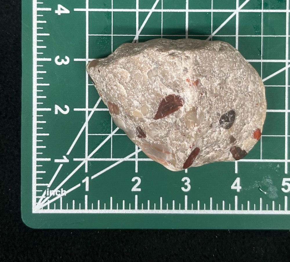 Pudding Stone Rough Michigan Display