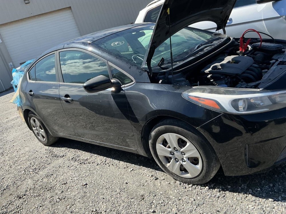 FORTE 2017 Glove Box 4996183