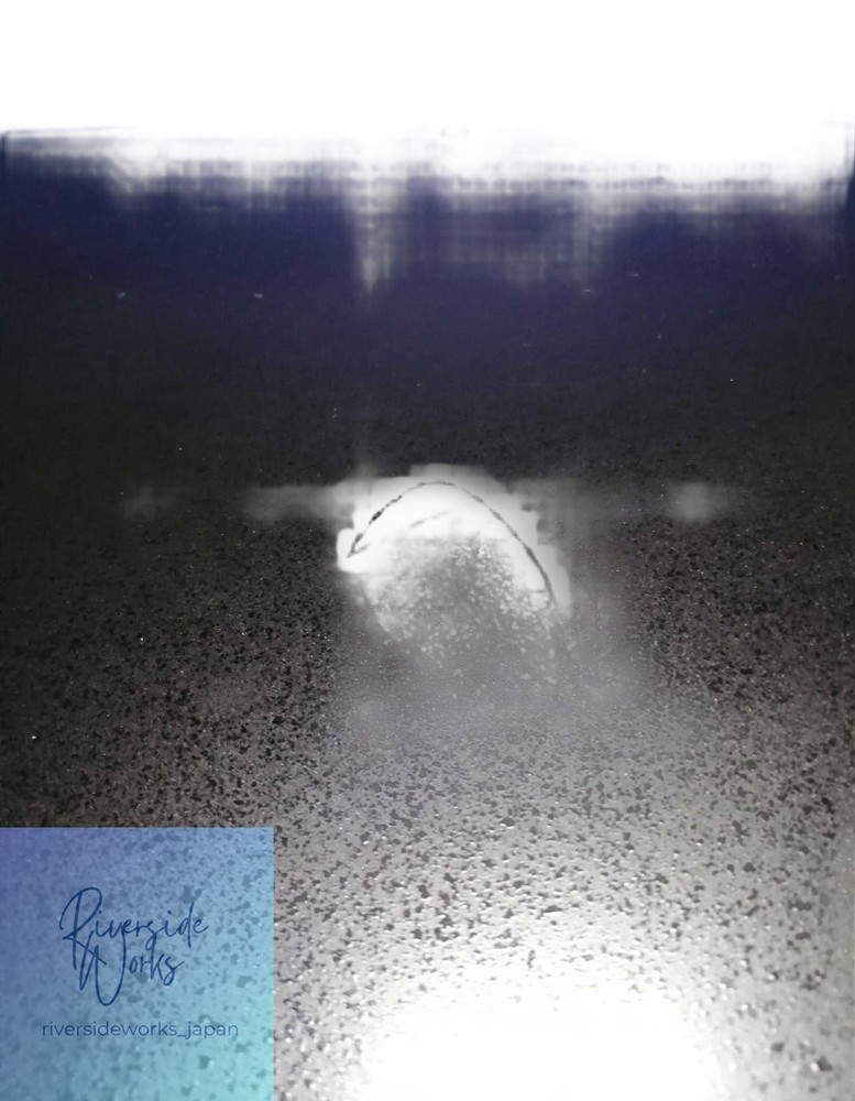 AVID ElevenRack Guitar Effects Processor - Professional Gear JP