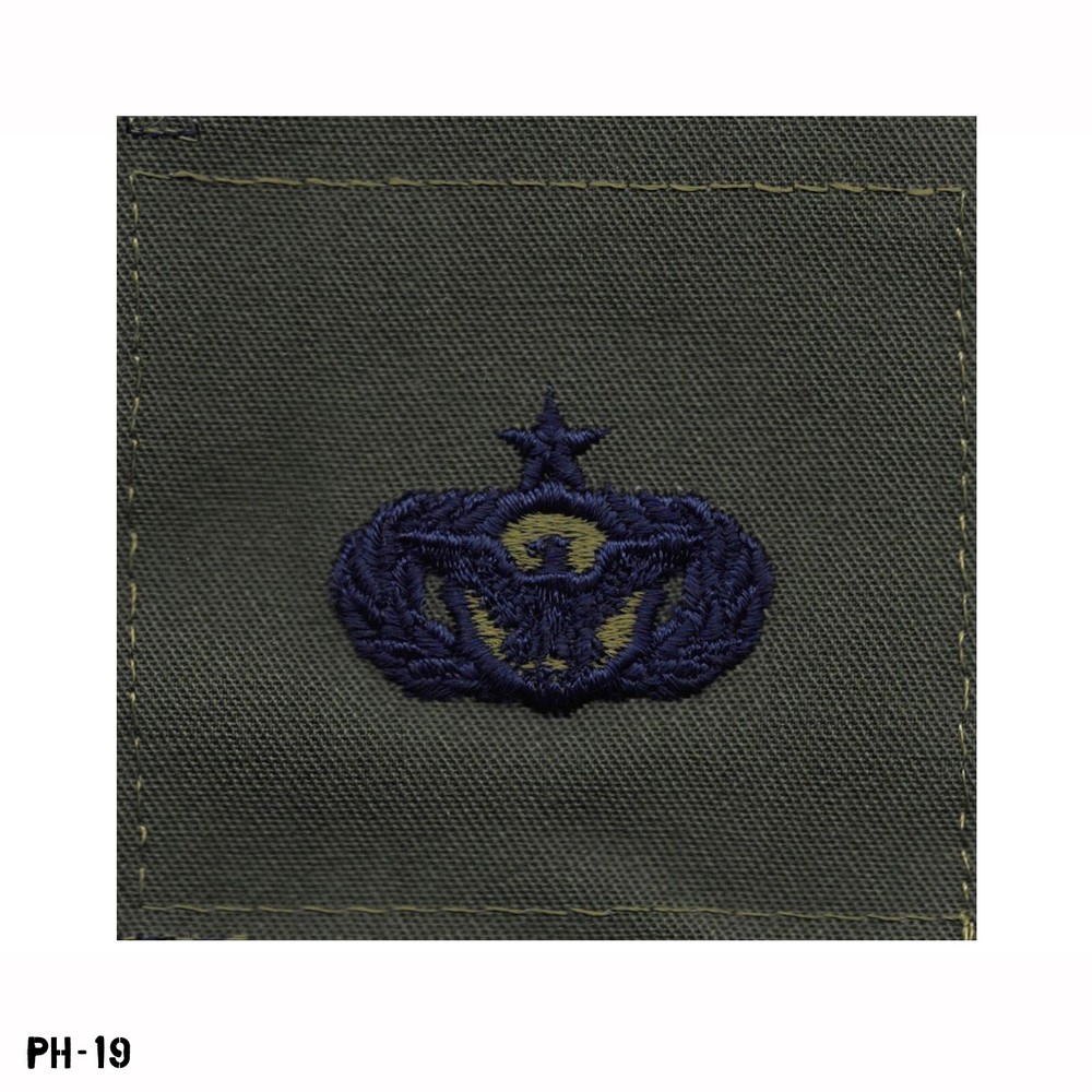US Air Force USAF Senior Security Police Patch Subdued ~ NOS