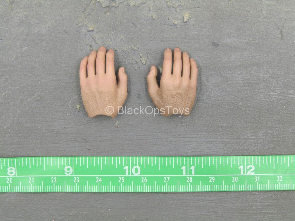 1/6 Scale Toy The Wolverine - Hand Set