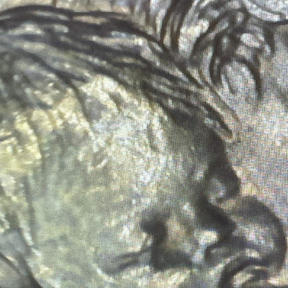 2000 D & p sacagawea dollar, Die Cracks, Improper Die