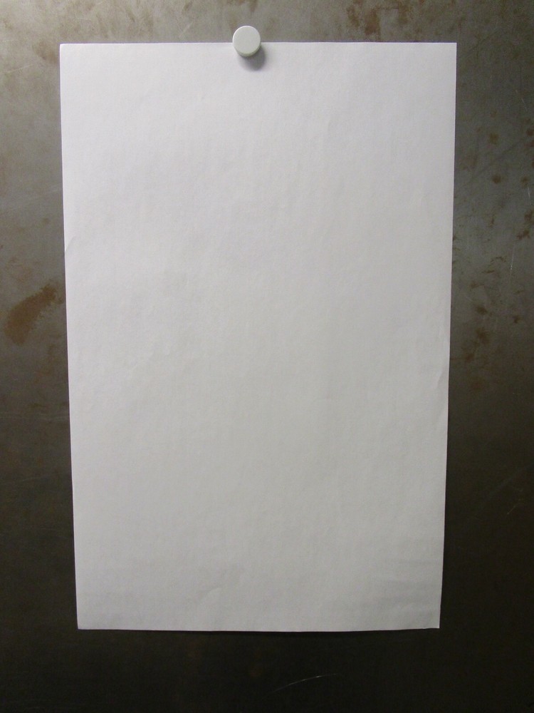 FIONA APPLE & BLAKE MILLS Boettcher Concert Hall Denver 2014 Flyer IDLER WHEEL