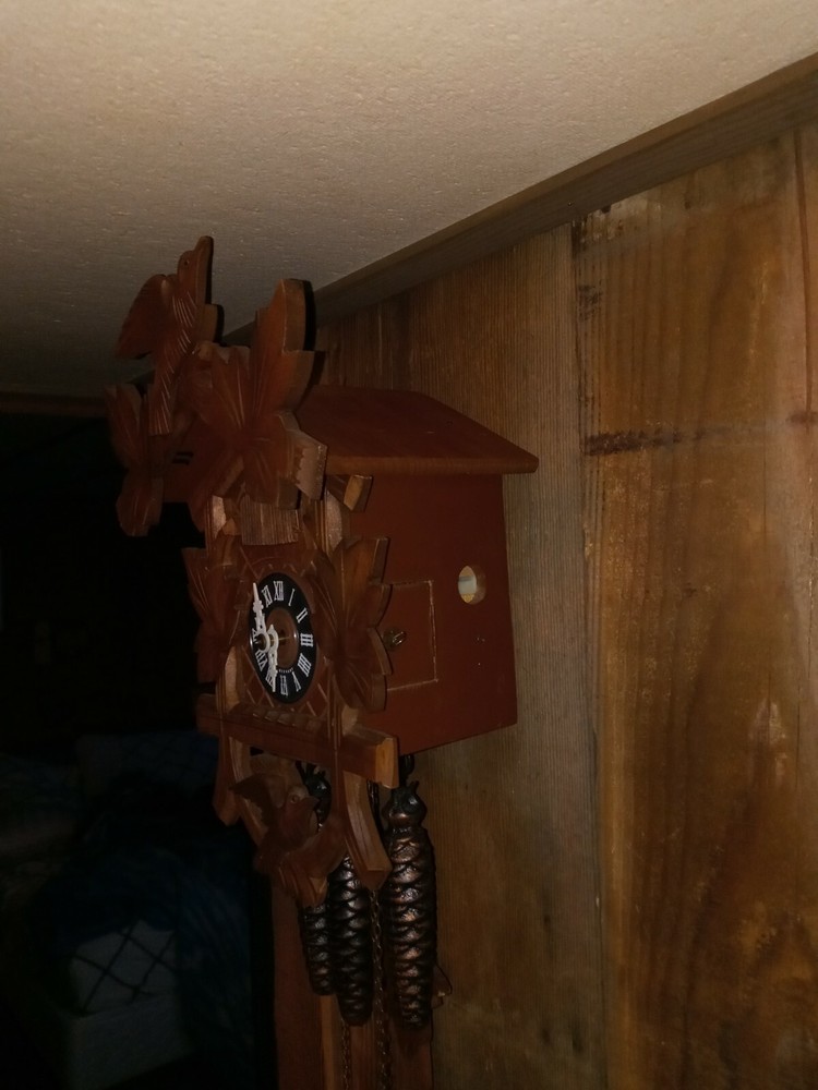 One Day Black Forest Muiscal Cucoo Clock