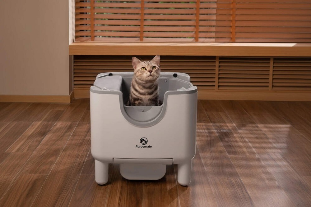 F6 Automatic Self-Cleaning Cat Litter Box Open-Top Design with Odor Control
