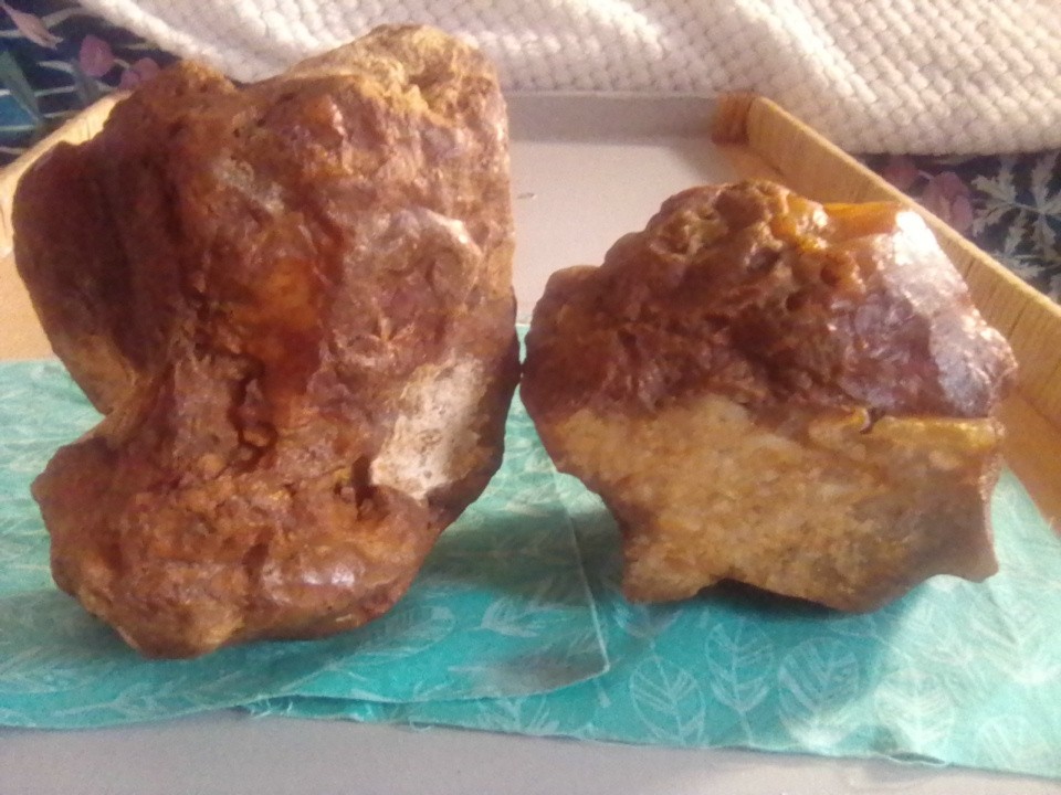Petrified Wood